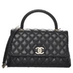Chanel Coco Handle Platinum