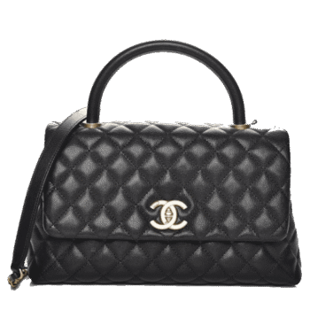 Chanel Coco Handle Platinum